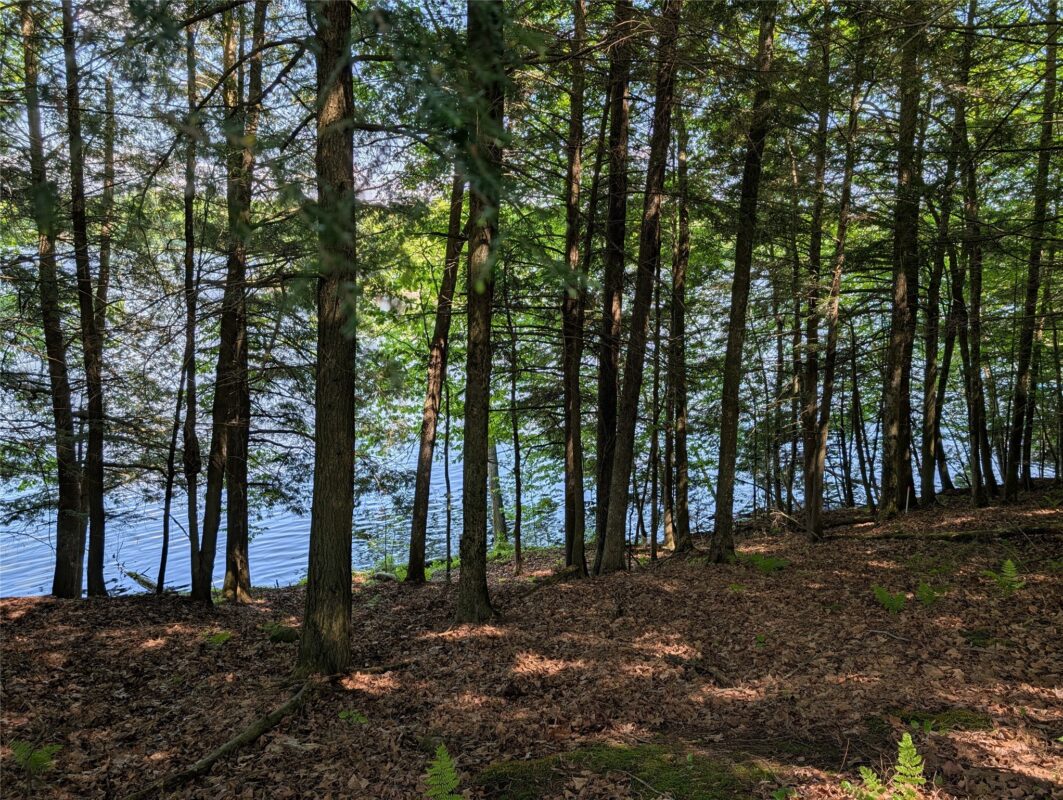 14967 360th Street, Stanley WI 54768 - Land house for sale - MLS #1601607 - image12