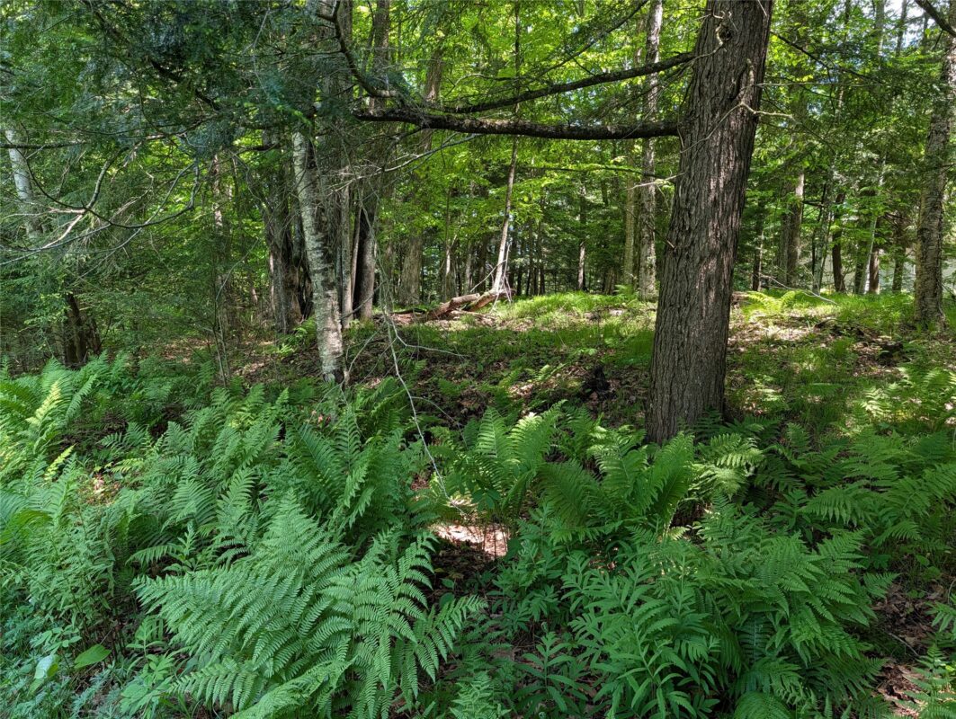 14967 360th Street, Stanley WI 54768 - Land house for sale - MLS #1601607 - image13