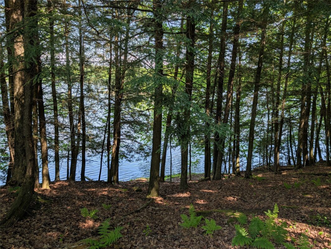 14967 360th Street, Stanley WI 54768 - Land house for sale - MLS #1601607 - image16