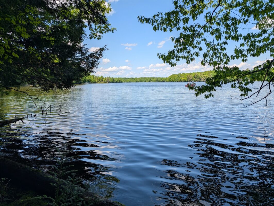 14967 360th Street, Stanley WI 54768 - Land house for sale - MLS #1601607 - image17