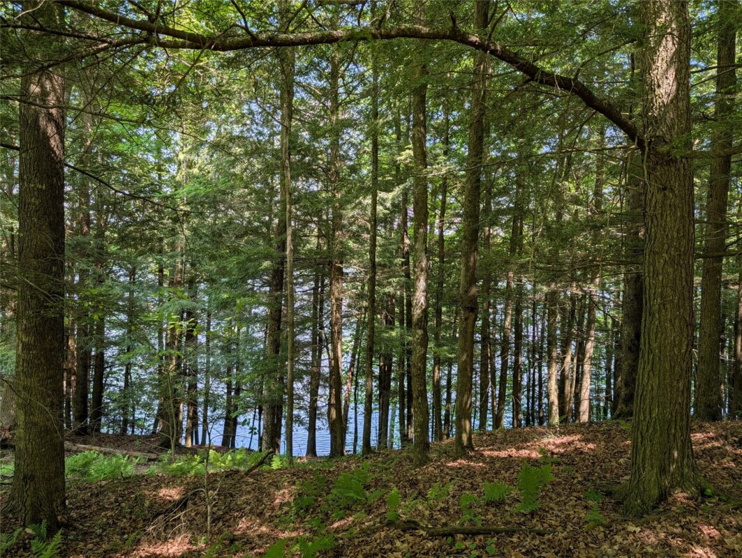 14967 360th Street, Stanley WI 54768 - Land house for sale - MLS #1601607 - image18