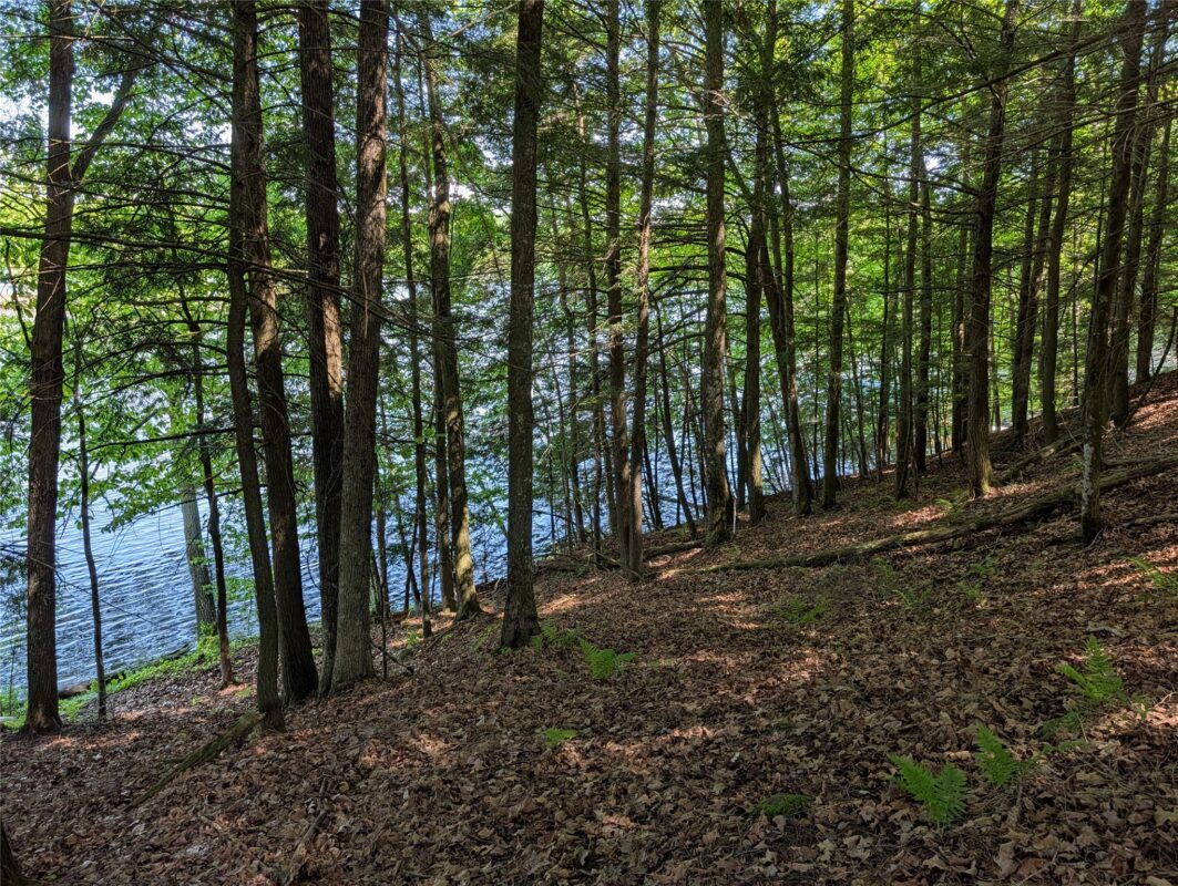 14967 360th Street, Stanley WI 54768 - Land house for sale - MLS #1601607 - image3