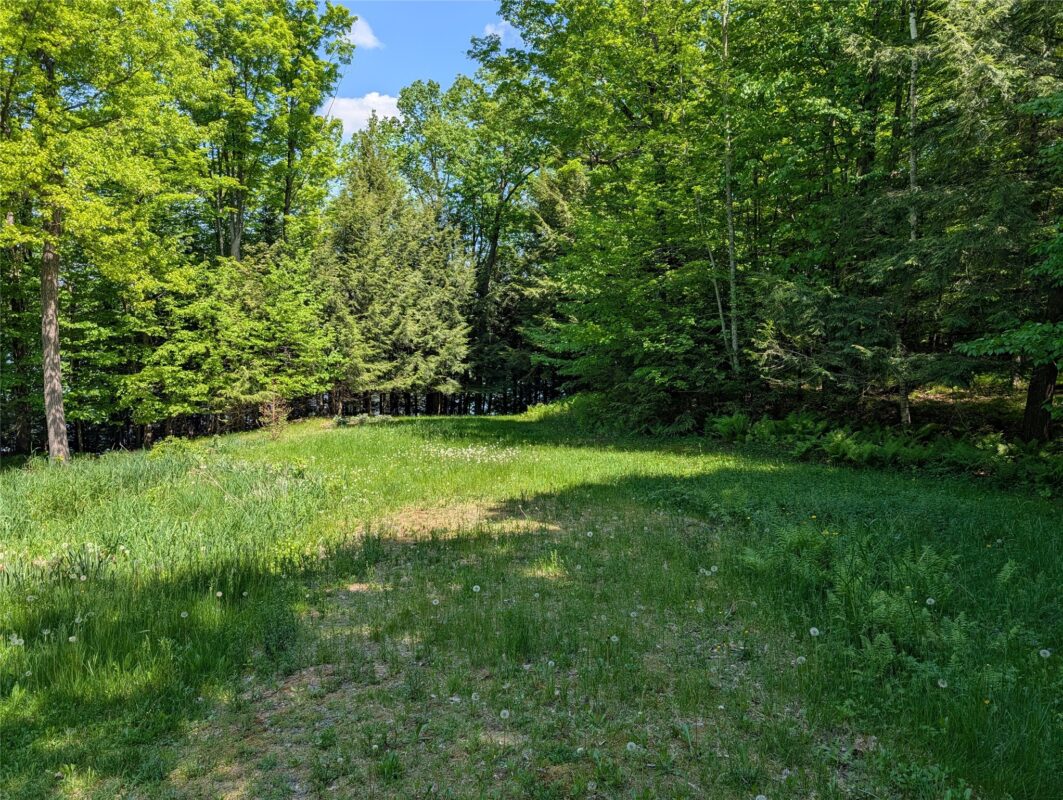 14967 360th Street, Stanley WI 54768 - Land house for sale - MLS #1601607 - image4