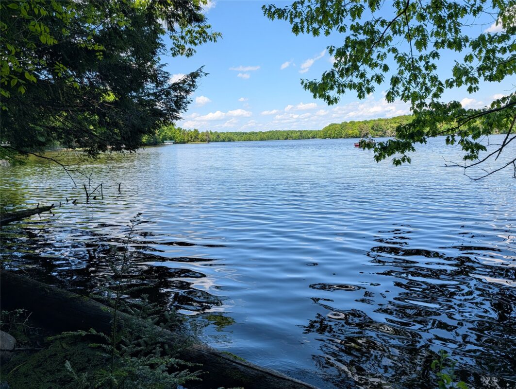 14967 360th Street, Stanley WI 54768 - Land house for sale - MLS #1601607 - image5