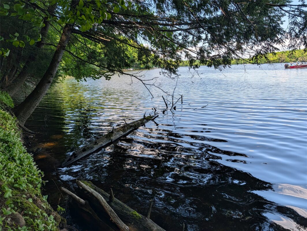 14967 360th Street, Stanley WI 54768 - Land house for sale - MLS #1601607 - image6