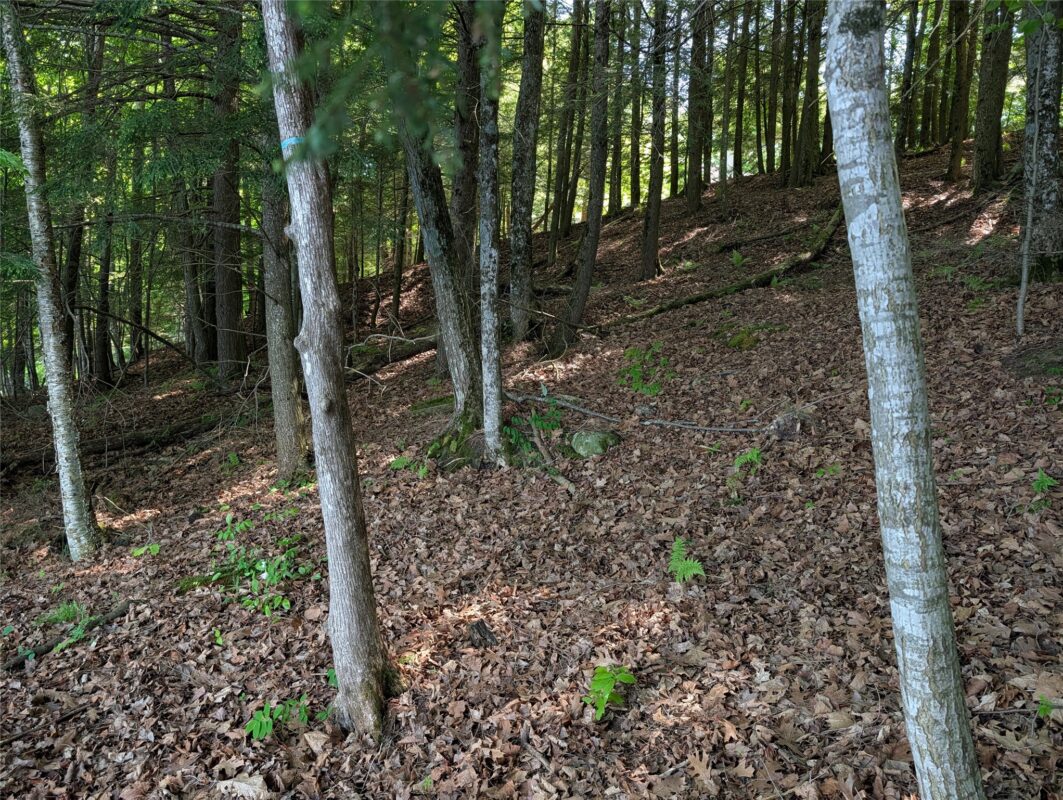 14967 360th Street, Stanley WI 54768 - Land house for sale - MLS #1601607 - image7