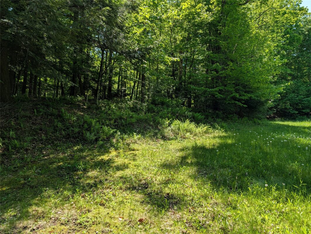 14967 360th Street, Stanley WI 54768 - Land house for sale - MLS #1601607 - image8