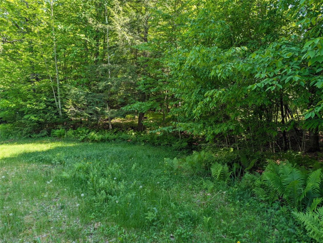 14967 360th Street, Stanley WI 54768 - Land house for sale - MLS #1601607 - image9