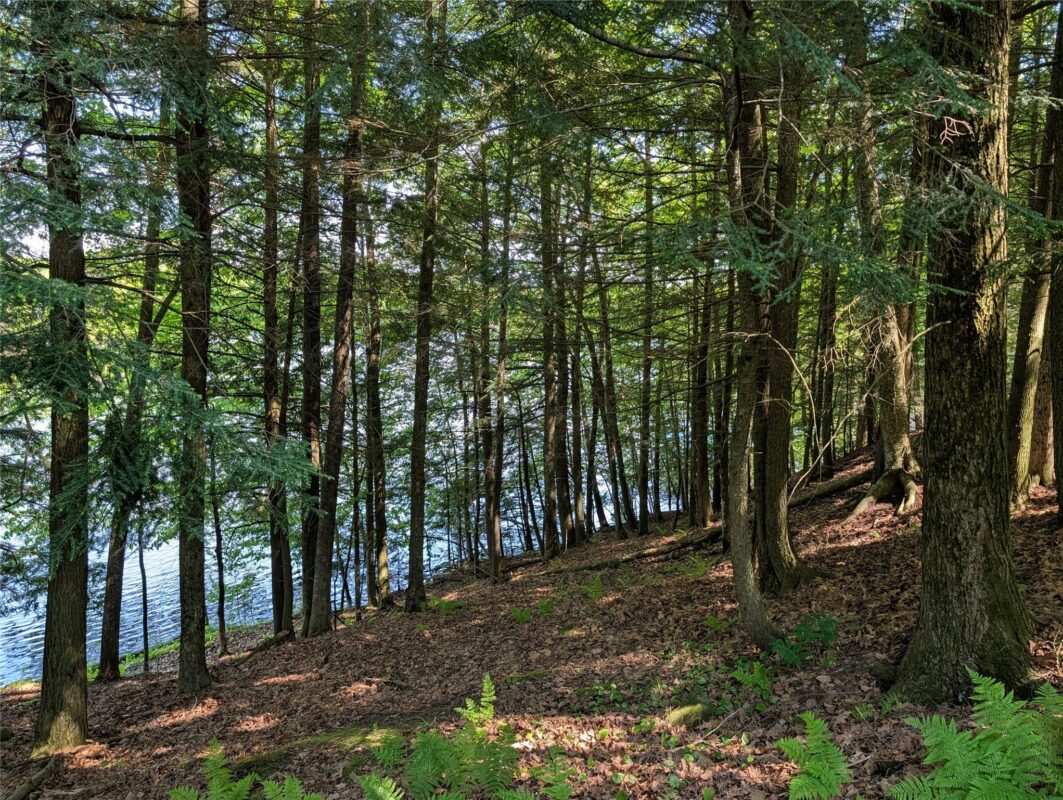 14967 360th Street, Stanley WI 54768 - Land house for sale - MLS #1601607 - image10