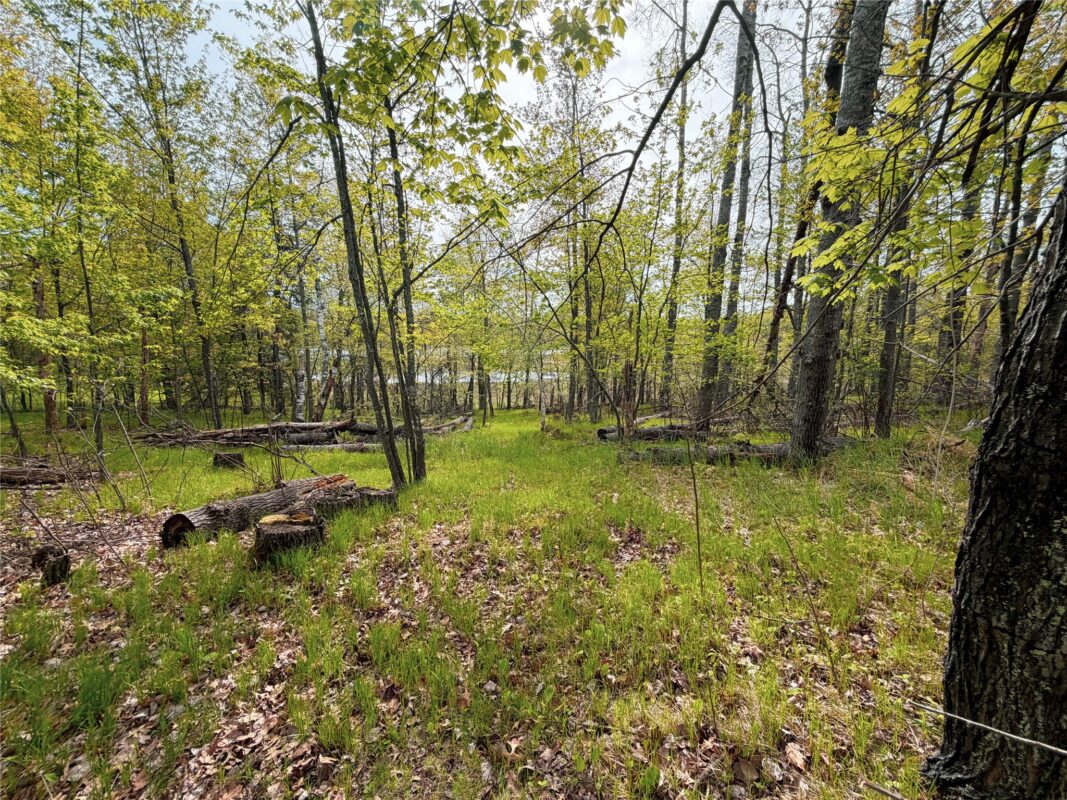 15051 Thorn Lake Loop, Gordon WI 54838 - Residential house for sale - MLS #1600427 - image25
