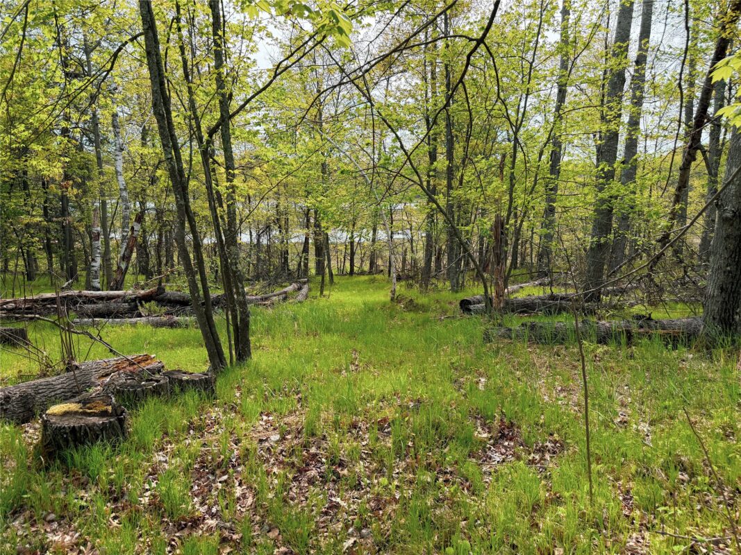 15051 Thorn Lake Loop, Gordon WI 54838 - Residential house for sale - MLS #1600427 - image8