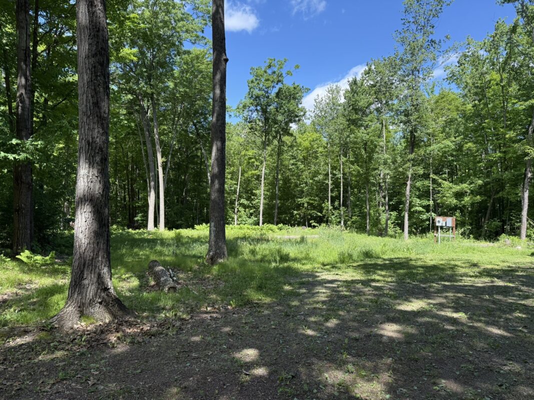15846 Pank Road, Stone Lake WI 54876 - Land house for sale - MLS #1599821 - image2