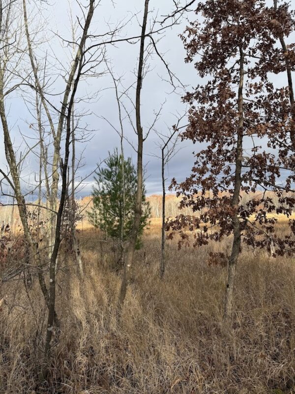 15846 Pank Road, Stone Lake WI 54876 - Land house for sale - MLS #1599821 - image12