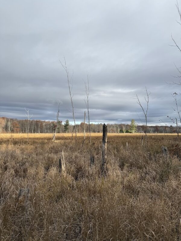 15846 Pank Road, Stone Lake WI 54876 - Land house for sale - MLS #1599821 - image13