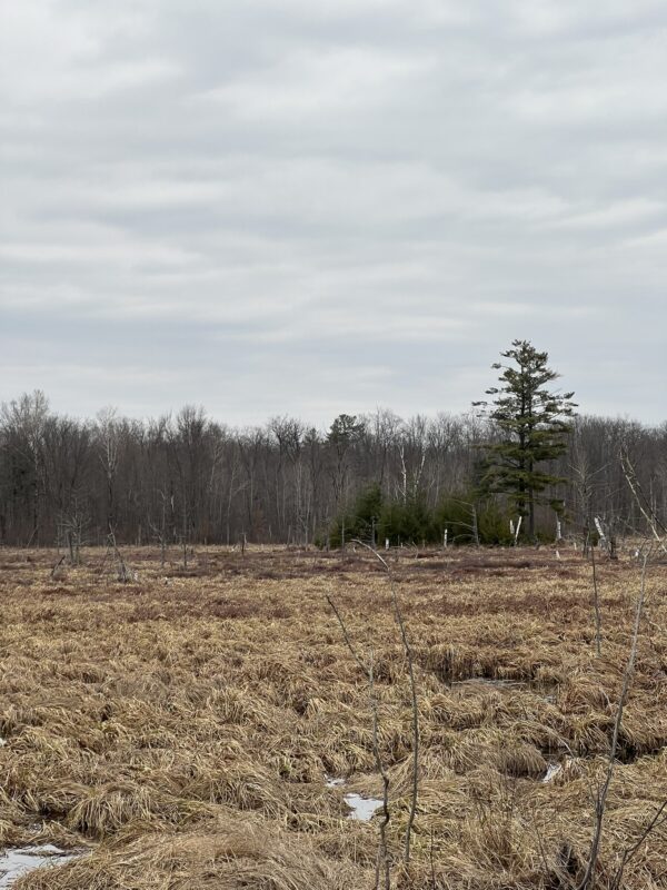 15846 Pank Road, Stone Lake WI 54876 - Land house for sale - MLS #1599821 - image14