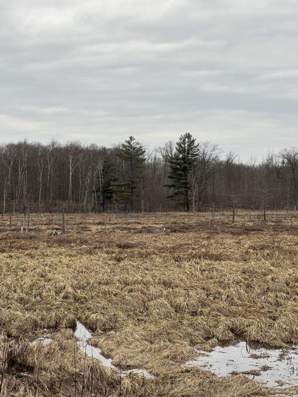 15846 Pank Road, Stone Lake WI 54876 - Land house for sale - MLS #1599821 - image15