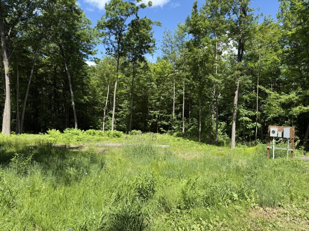 15846 Pank Road, Stone Lake WI 54876 - Land house for sale - MLS #1599821 - image3