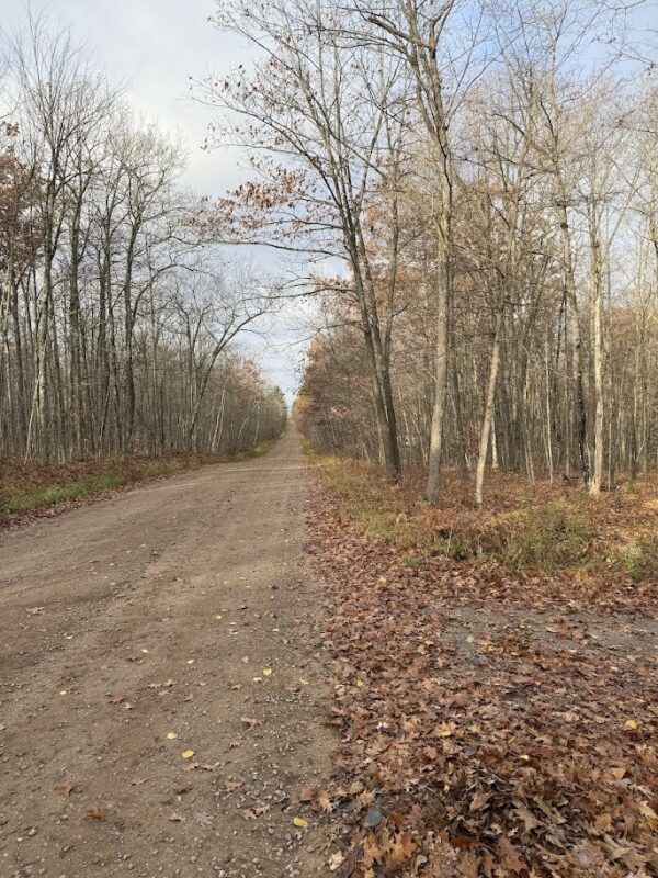 15846 Pank Road, Stone Lake WI 54876 - Land house for sale - MLS #1599821 - image21