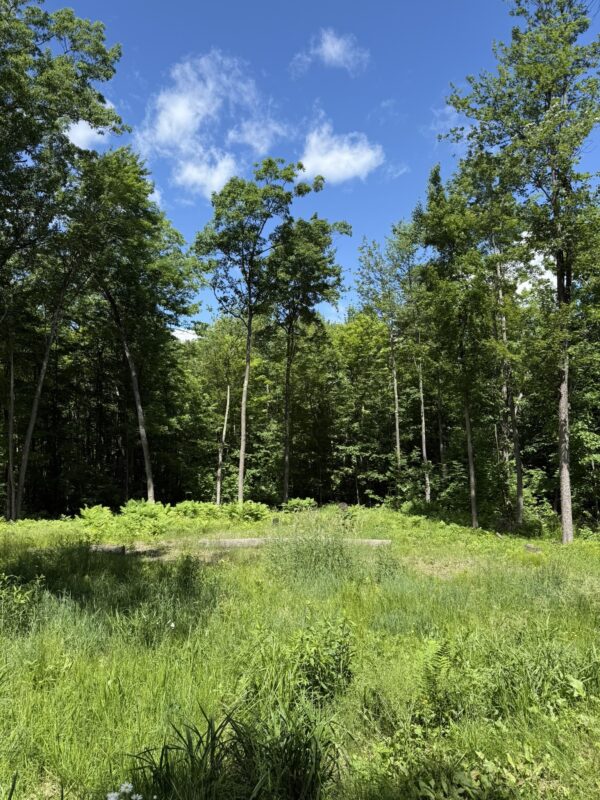 15846 Pank Road, Stone Lake WI 54876 - Land house for sale - MLS #1599821 - image4