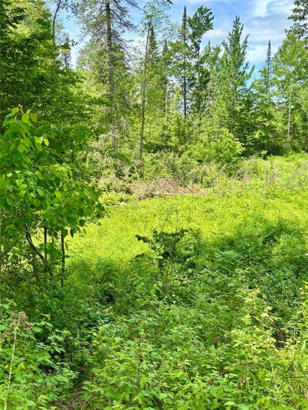 16550 Ridgerock Road, Hayward WI 54843 - Land house for sale - MLS #1591202 - image5