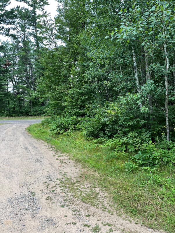 16876 Southview Trail, Stone Lake WI 54876 - Land house for sale - MLS #1599724 - image3