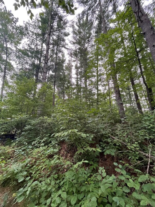 16876 Southview Trail, Stone Lake WI 54876 - Land house for sale - MLS #1599724 - image23
