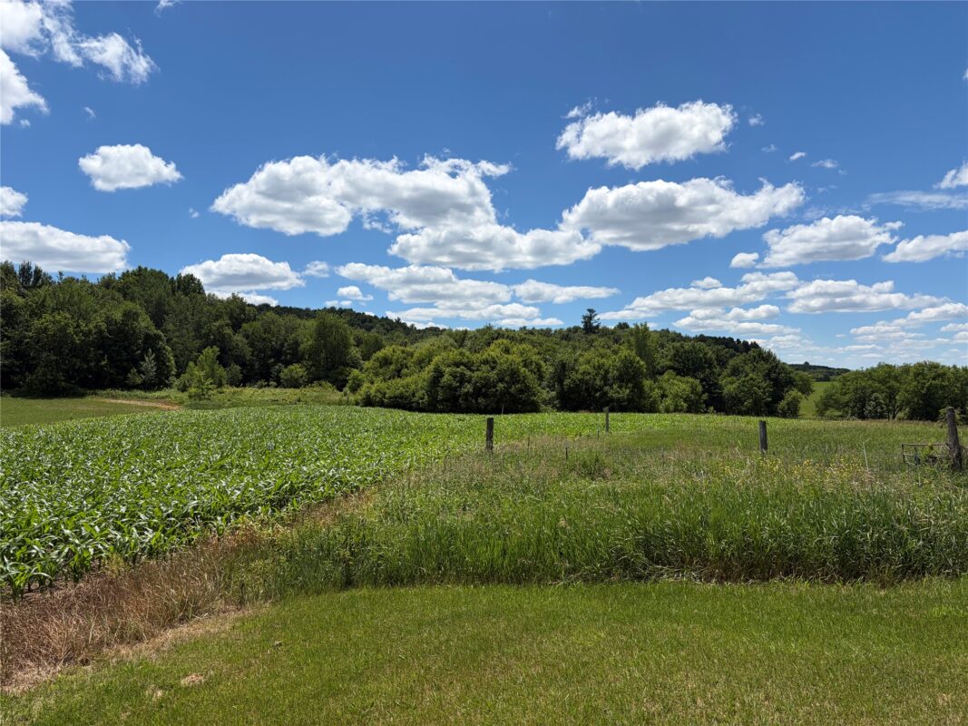 1711 150th Avenue, Colfax WI 54730 - Residential house for sale - MLS #1602516 - image2