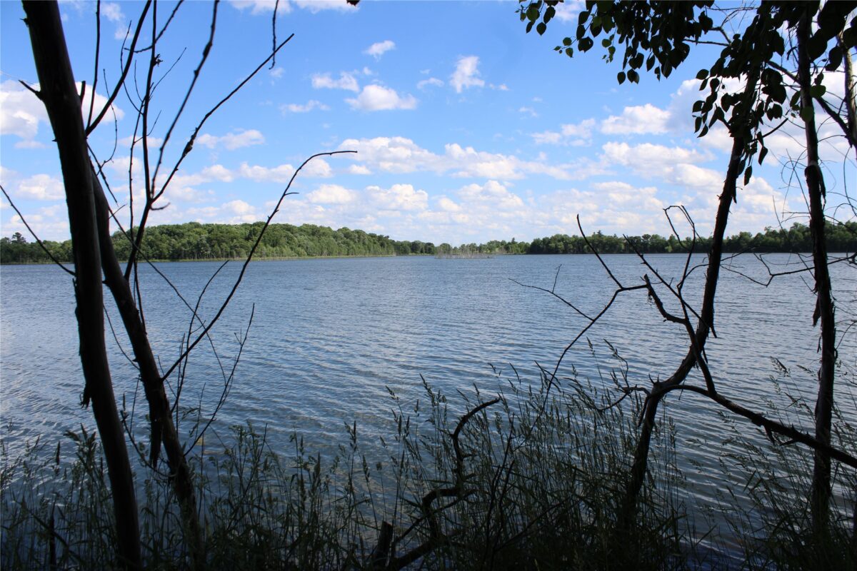 1729 Bear Lake Drive, Dresser WI 54009 - Residential house for sale - MLS #1601554 - image59