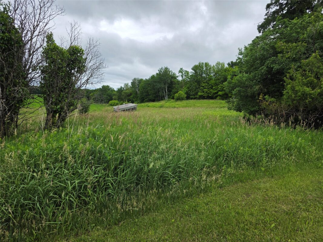 1805 270th Avenue, Luck WI 54853 - Residential house for sale - MLS #1602335 - image3