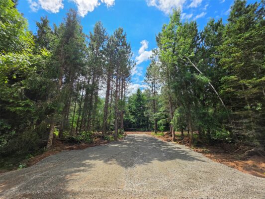 20 Acres Adams Road Bruce WI 54819