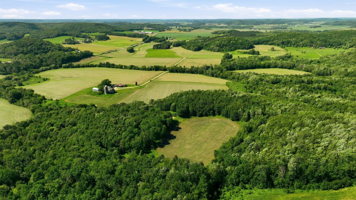 20 acres 150th Ave., Colfax WI 54730 - Land house for sale - MLS #1602151 - image11