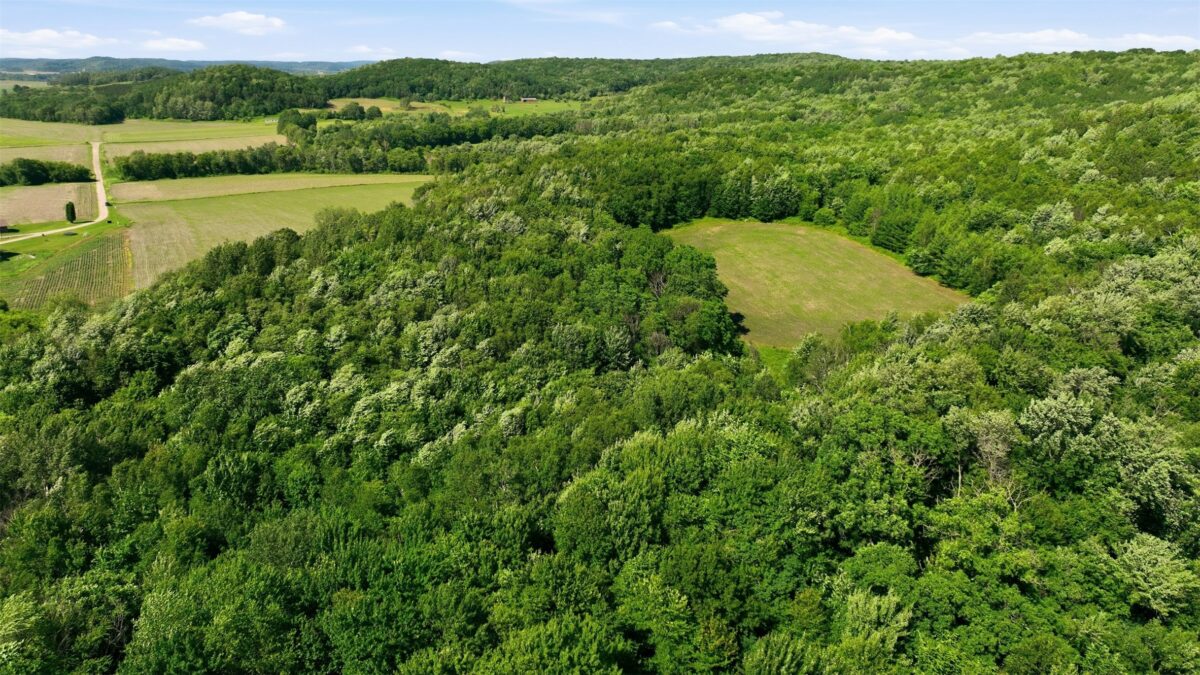 20 acres 150th Ave., Colfax WI 54730 - Land house for sale - MLS #1602151 - image12