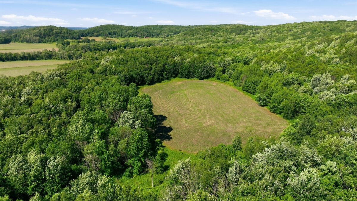 20 acres 150th Ave., Colfax WI 54730 - Land house for sale - MLS #1602151 - image13