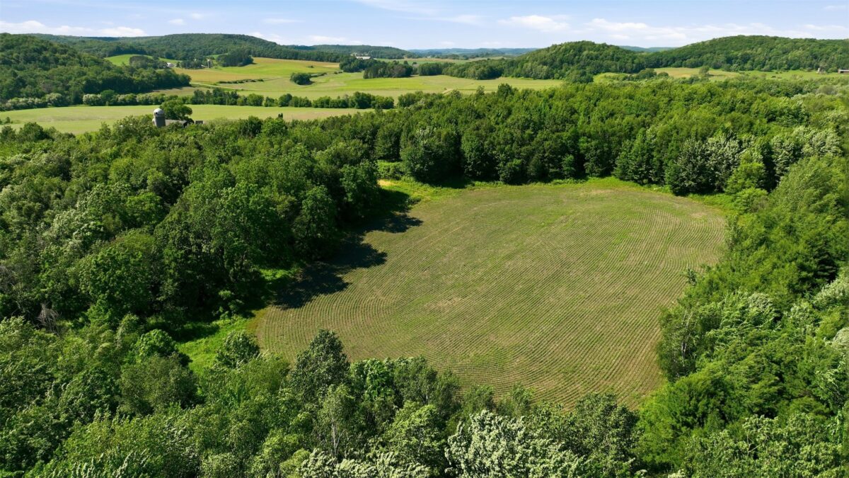 20 acres 150th Ave., Colfax WI 54730 - Land house for sale - MLS #1602151 - image14