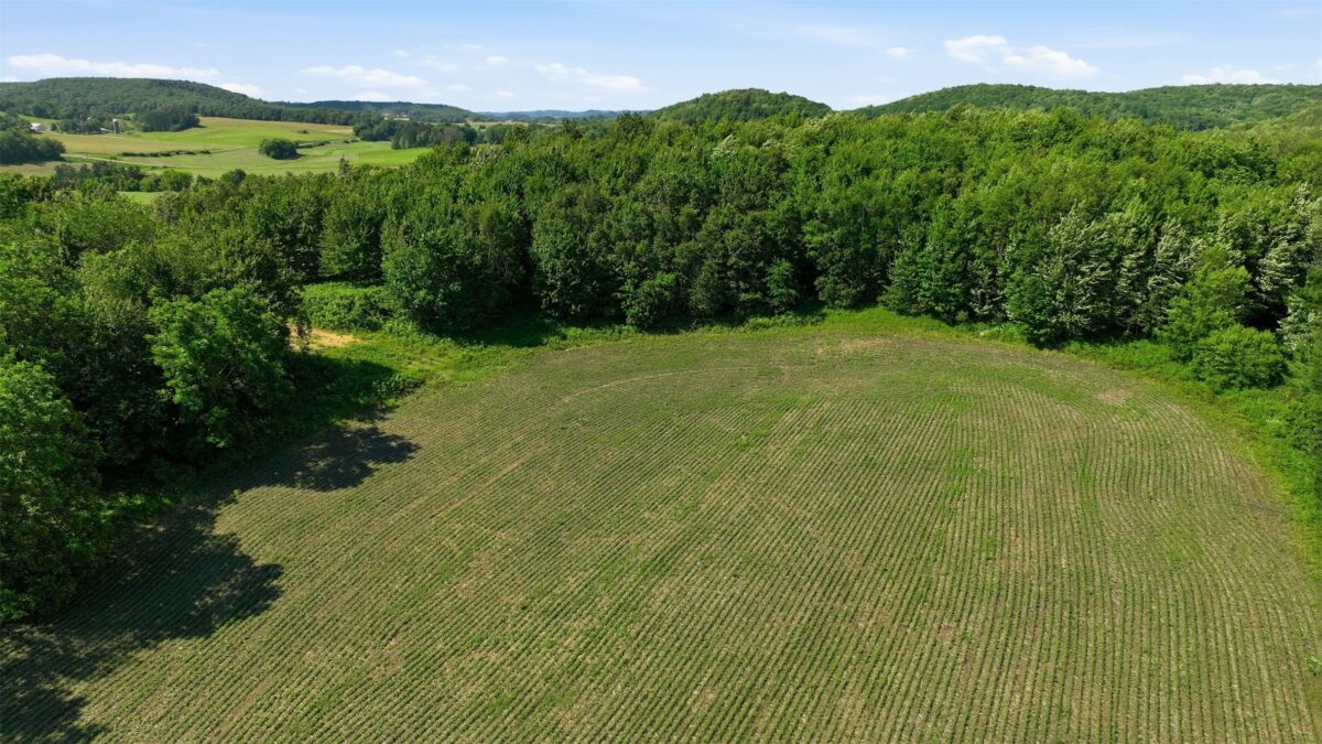 20 acres 150th Ave., Colfax WI 54730 - Land house for sale - MLS #1602151 - image15