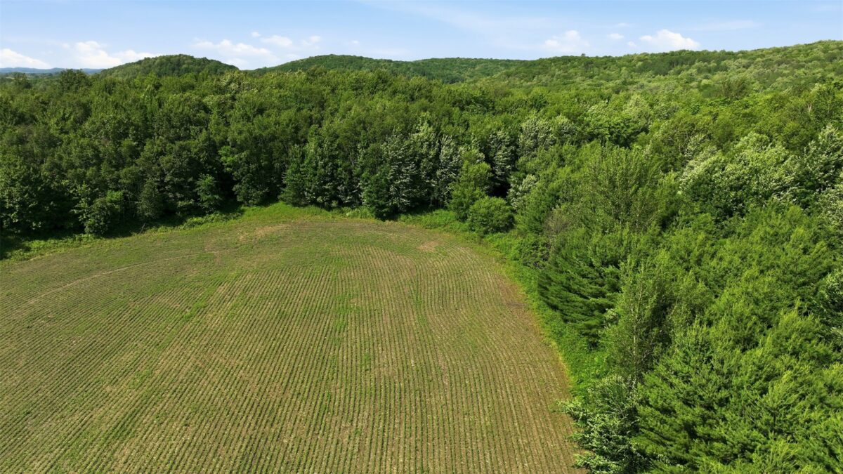 20 acres 150th Ave., Colfax WI 54730 - Land house for sale - MLS #1602151 - image16