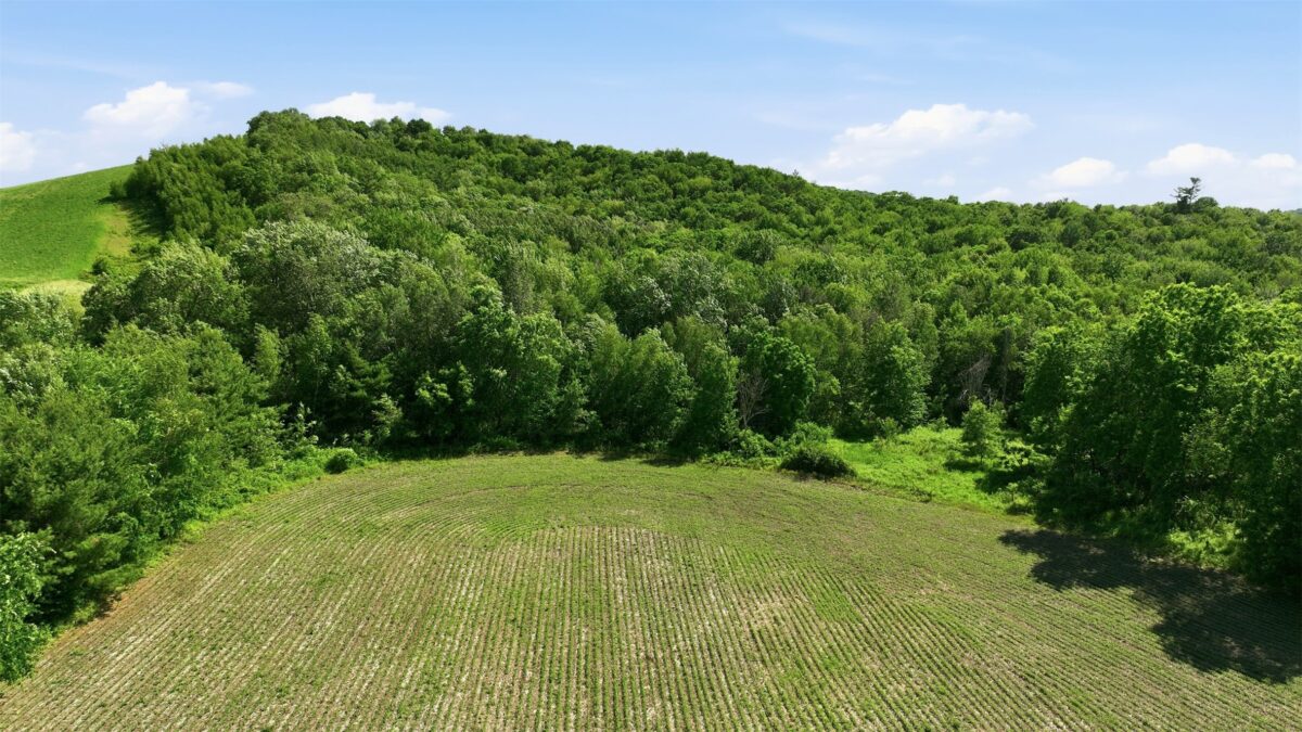 20 acres 150th Ave., Colfax WI 54730 - Land house for sale - MLS #1602151 - image17