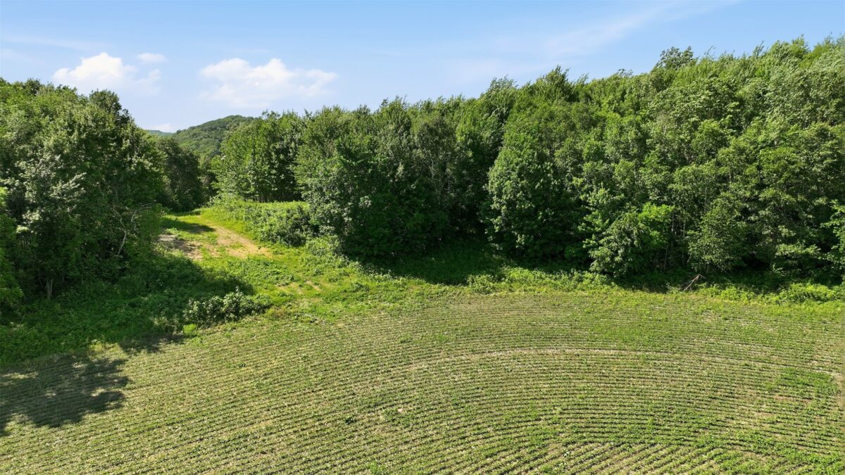 20 acres 150th Ave., Colfax WI 54730 - Land house for sale - MLS #1602151 - image18