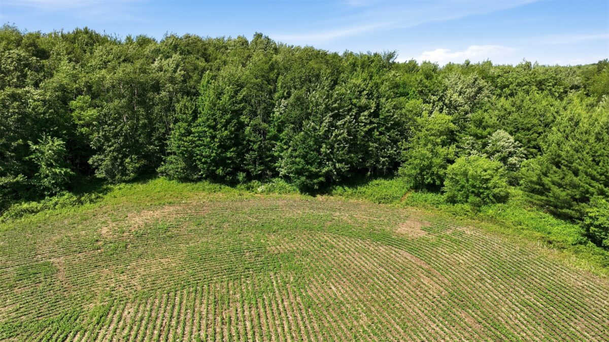 20 acres 150th Ave., Colfax WI 54730 - Land house for sale - MLS #1602151 - image19