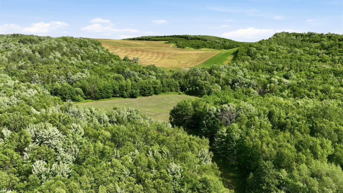 20 acres 150th Ave., Colfax WI 54730 - Land house for sale - MLS #1602151 - image20