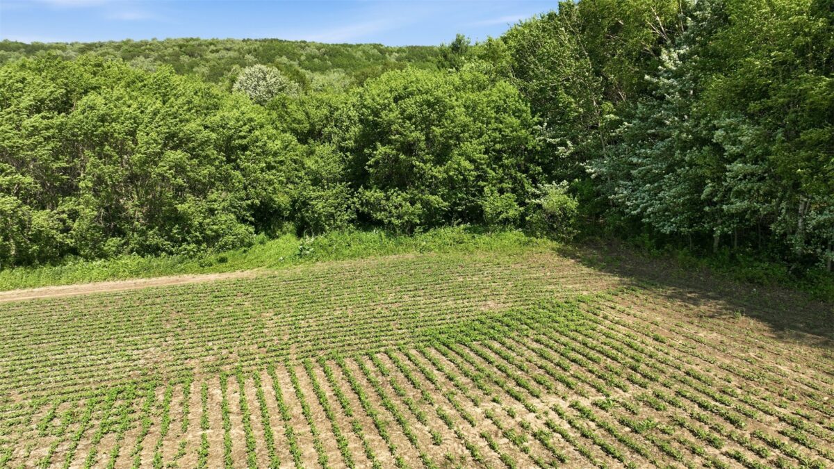 20 acres 150th Ave., Colfax WI 54730 - Land house for sale - MLS #1602151 - image21