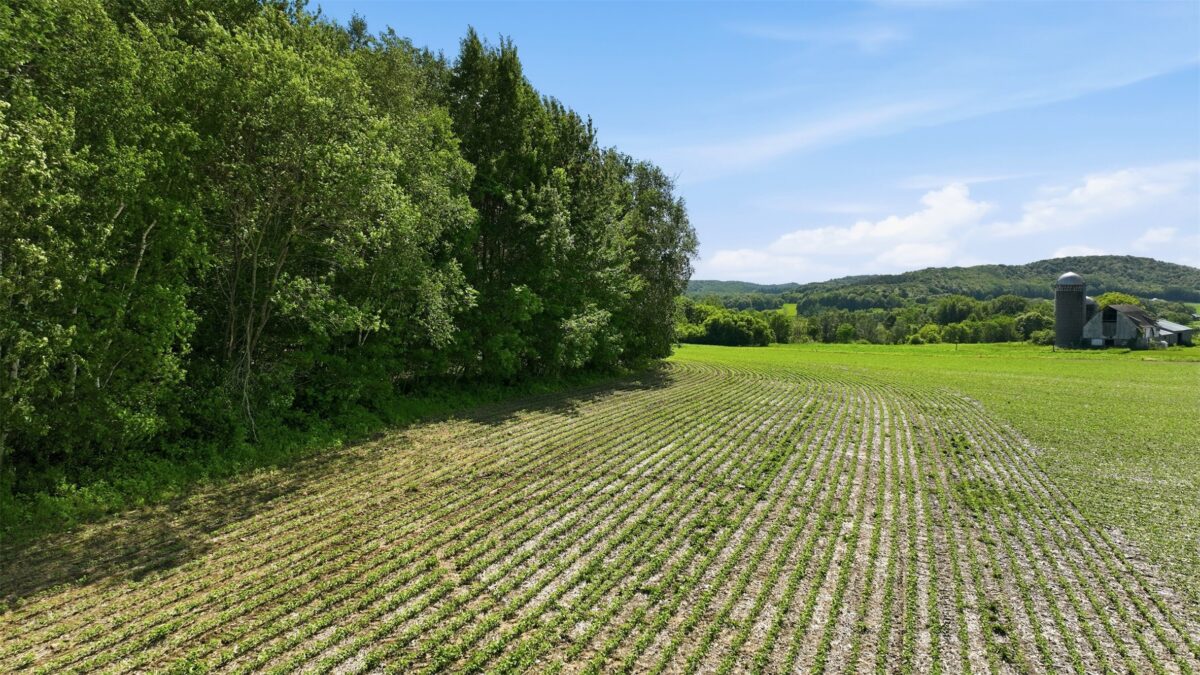 20 acres 150th Ave., Colfax WI 54730 - Land house for sale - MLS #1602151 - image22