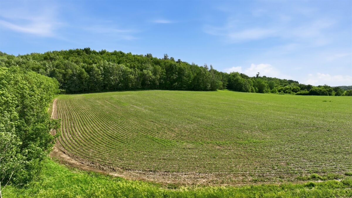 20 acres 150th Ave., Colfax WI 54730 - Land house for sale - MLS #1602151 - image23