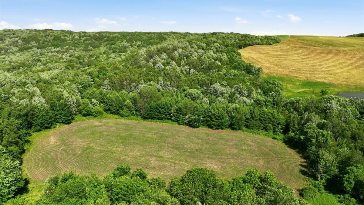 20 acres 150th Ave., Colfax WI 54730 - Land house for sale - MLS #1602151 - image25