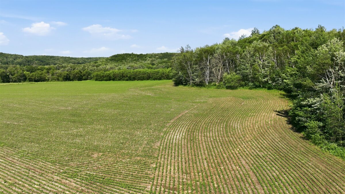 20 acres 150th Ave., Colfax WI 54730 - Land house for sale - MLS #1602151 - image26
