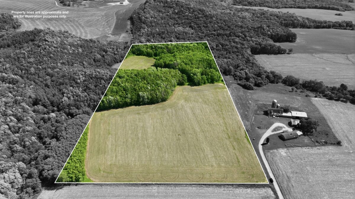 20 acres 150th Ave., Colfax WI 54730 - Land house for sale - MLS #1602151 - image4