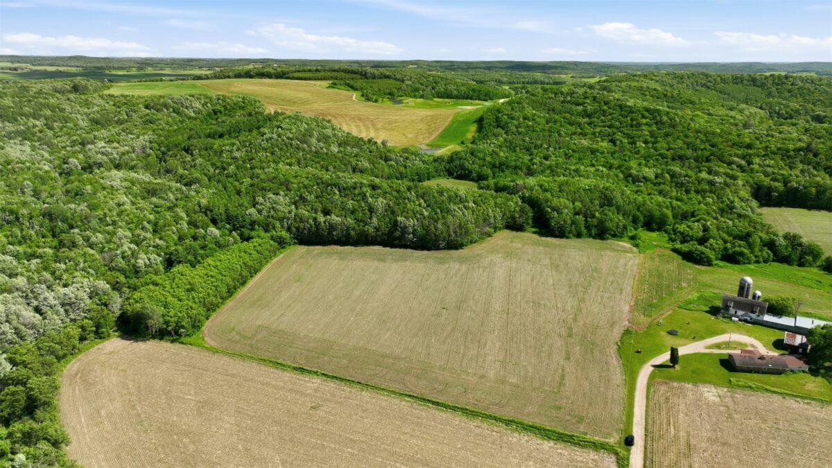 20 acres 150th Ave., Colfax WI 54730 - Land house for sale - MLS #1602151 - image6