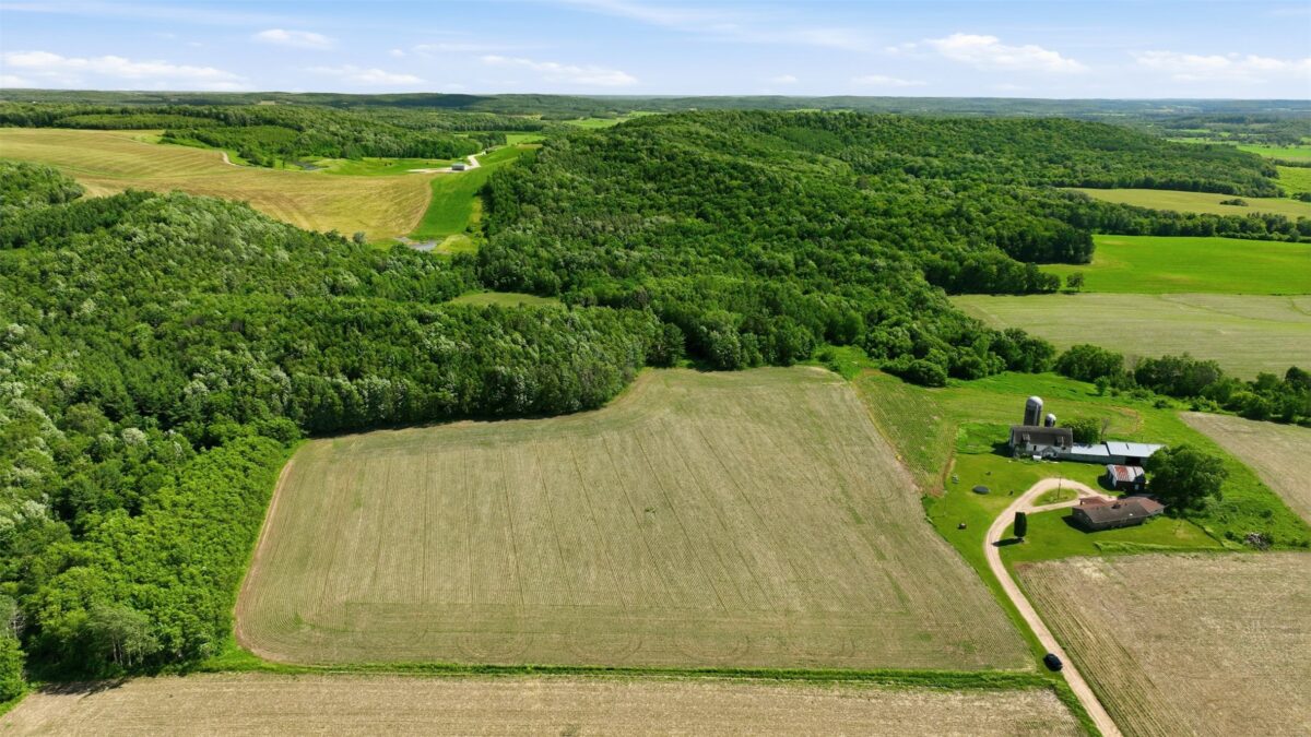 20 acres 150th Ave., Colfax WI 54730 - Land house for sale - MLS #1602151 - image7