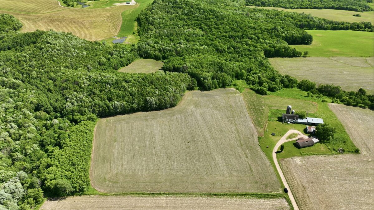 20 acres 150th Ave., Colfax WI 54730 - Land house for sale - MLS #1602151 - image8