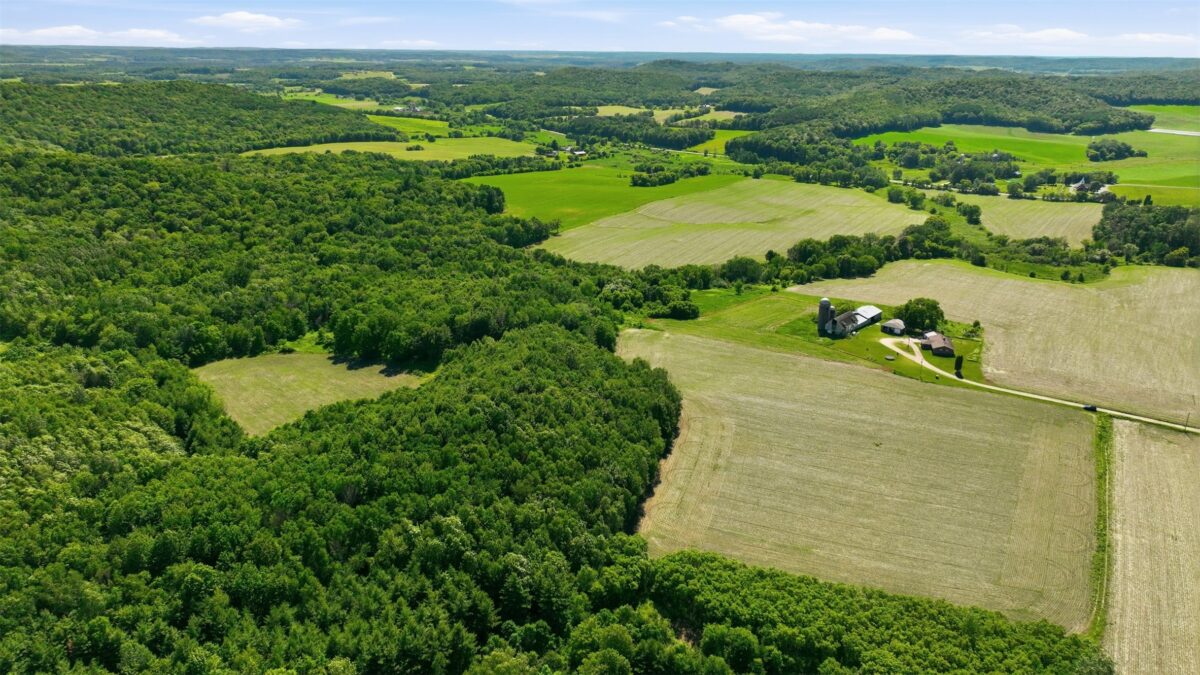 20 acres 150th Ave., Colfax WI 54730 - Land house for sale - MLS #1602151 - image9